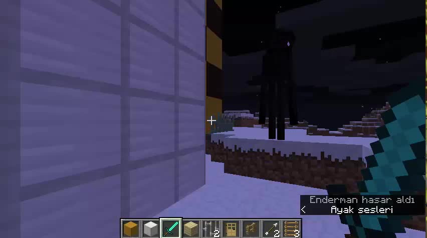 Enderman'e söven gençin dramı
