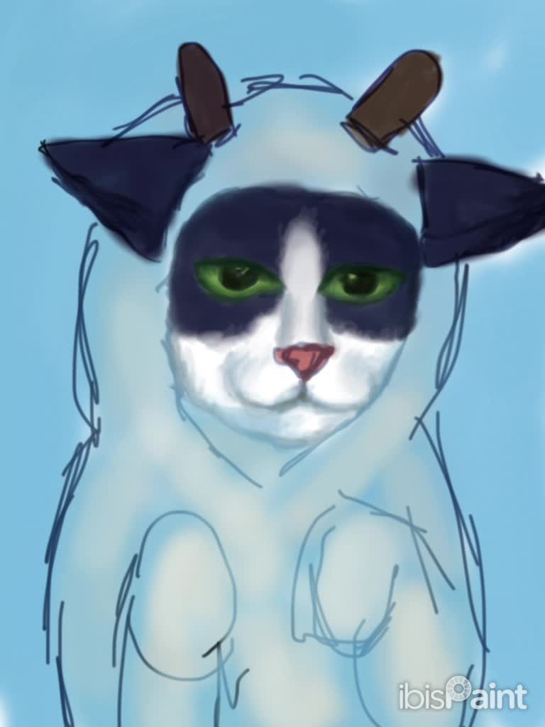 cow kitty speedpaint cow kitty speedpaint