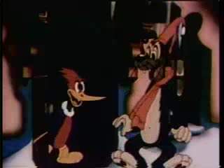 Woody Woodpecker in Pantry Panic