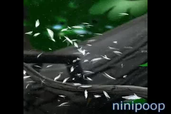 YTPMV - Larry Breakbeat background - Especial de 40 subs YOUTUBE