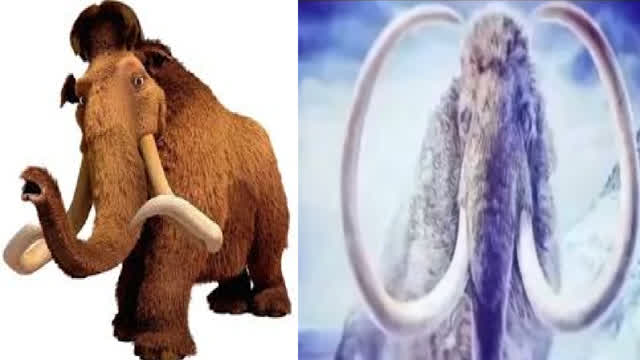 Ice Age Characters in Real Life!