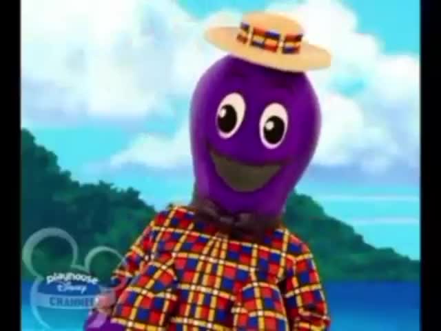 Wiggle y aprende - Wags y dorothy nataciones