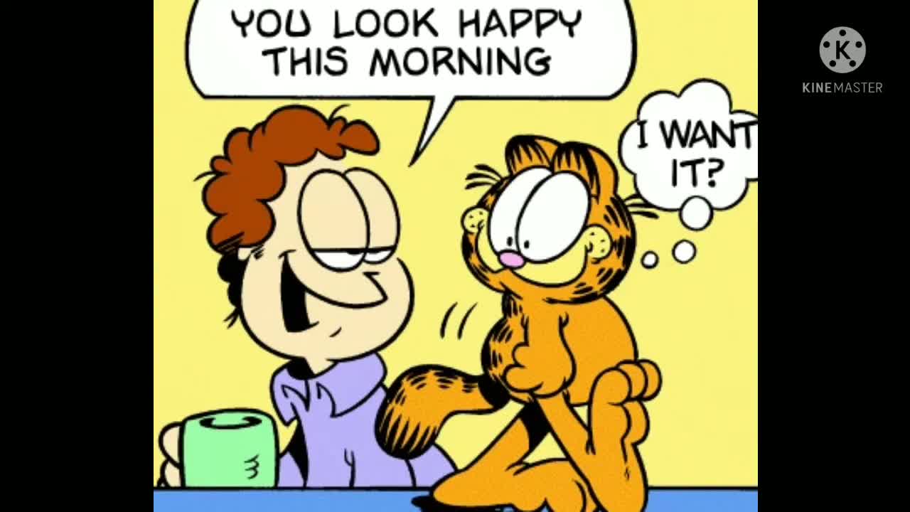 Google Translated Garfield Comic
