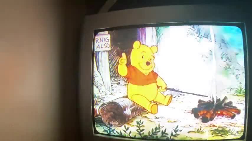 Closing to Winnie the Pooh and the Honey Tree 1993 VHS