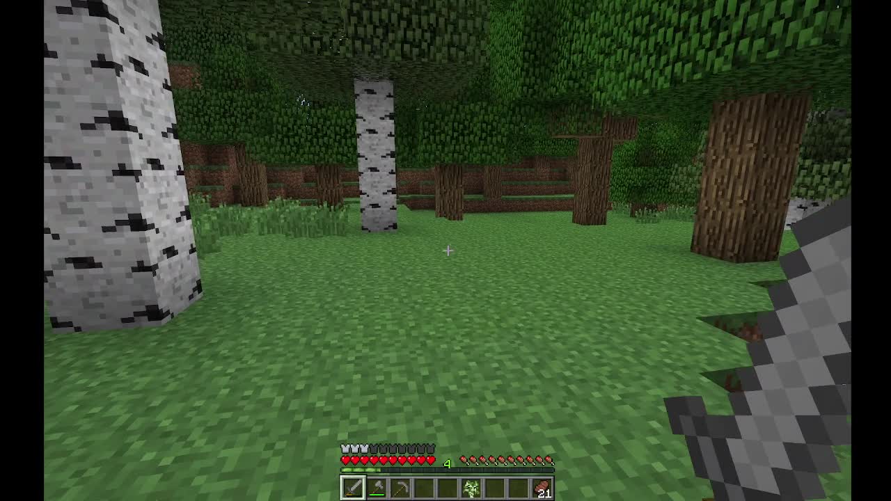 Minecraft 1.0 Part 3