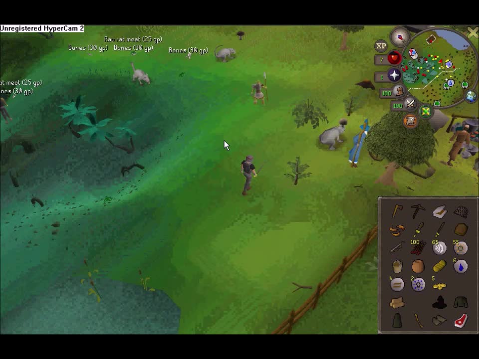 RuneScape - Swamp Secret RuneScape - Swamp Secret