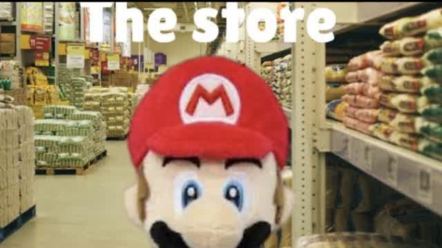 Super Mario world episode 2 the store