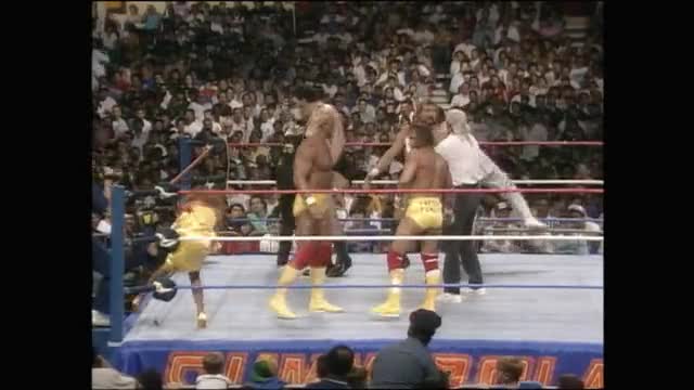 Summerslam 1988 - The Mega Powers vs. The Mega Bugs