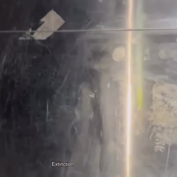 angelicism01 "the world is ending and i will never get to tell you i love you" angelicism01 "the world is ending and i will never get to tell you i love you"