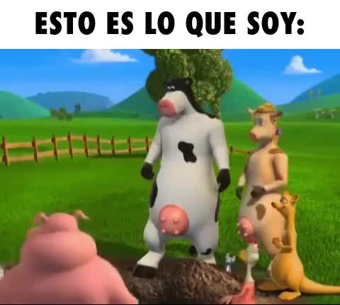 SOY UN FRACASADO