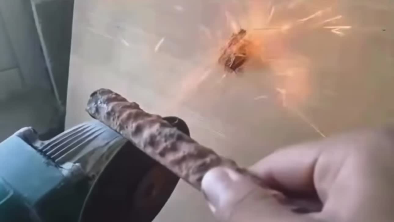 Defenseless roach getting tortured by man from Vietnam