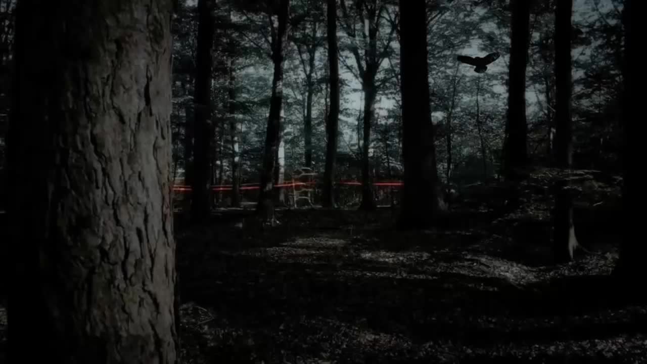 Creepypasta _ el campamento abandonado loquendo 2018(720P_HD)