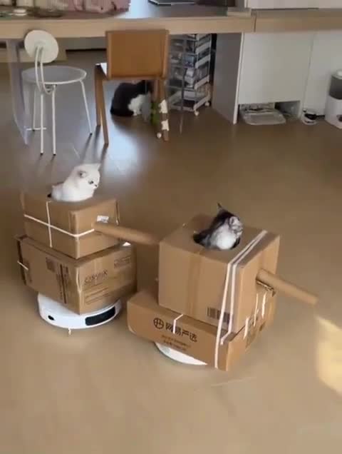 Roomba Tanks Have Been Weaponized (Cats Involved)