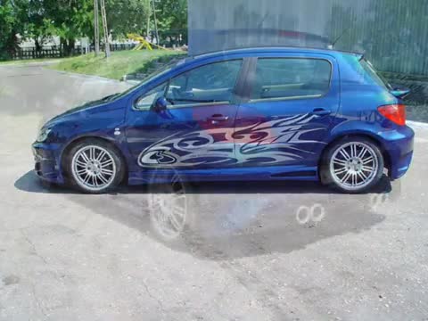 Recopilacion Peugeot 307 Tuning
