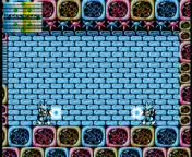 megaman chascarros 7