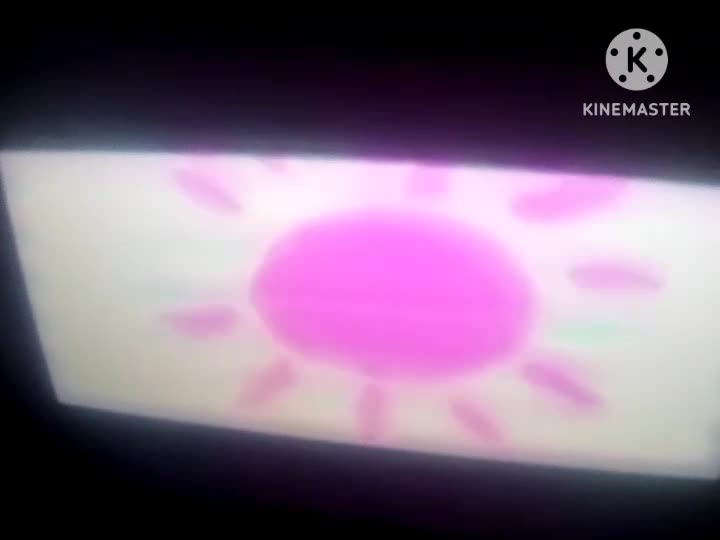 Stony Wonder (camcorder footage version)