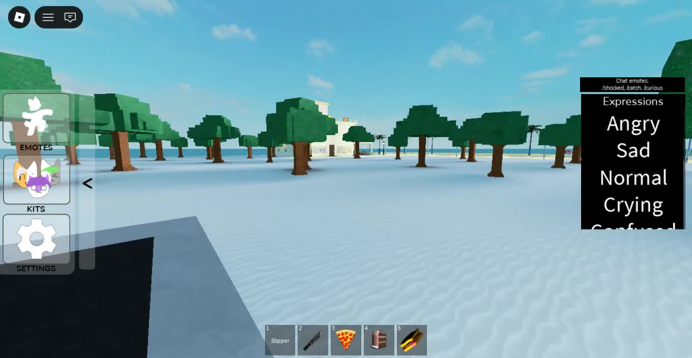 Roblox-2026-01-06T23_35_32.745Z Roblox-2026-01-06T23_35_32.745Z