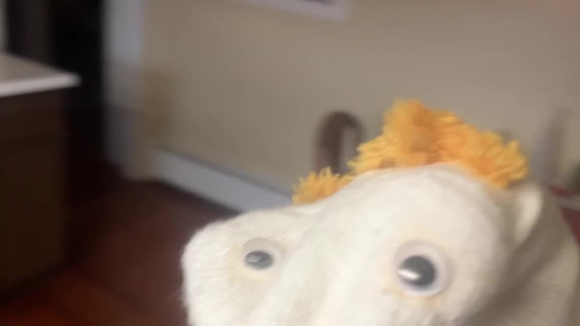 The Adventures Of Johnny Socko Episode 2 “Christmas Robbery”