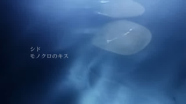 Monokuro No Kiss Monokuro No Kiss