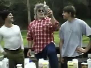 jackass (loquendo) la mejor traduccion al español