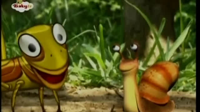 Mr. Snail - Grasshopper