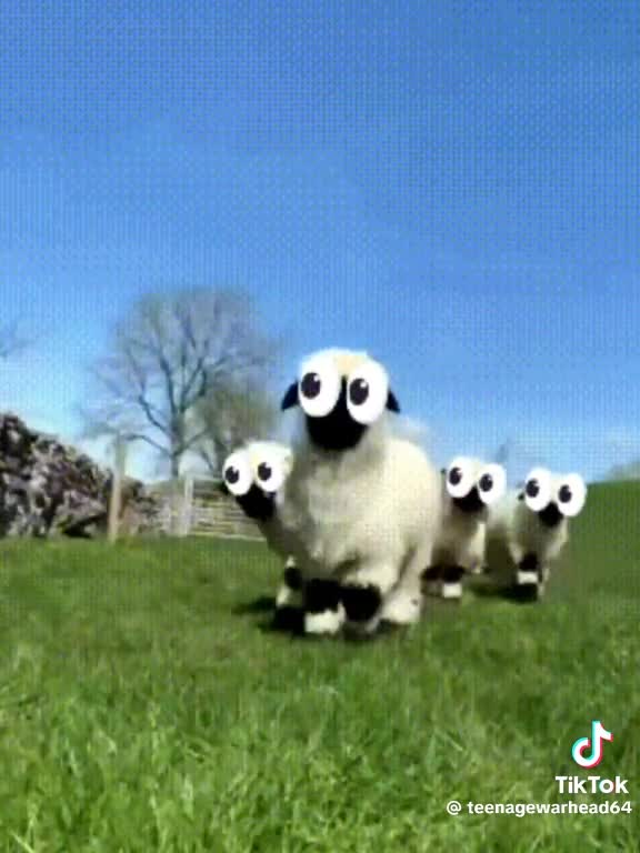 1b2c1ac7b92b50cf6431548367950b57 1b2c1ac7b92b50cf6431548367950b57