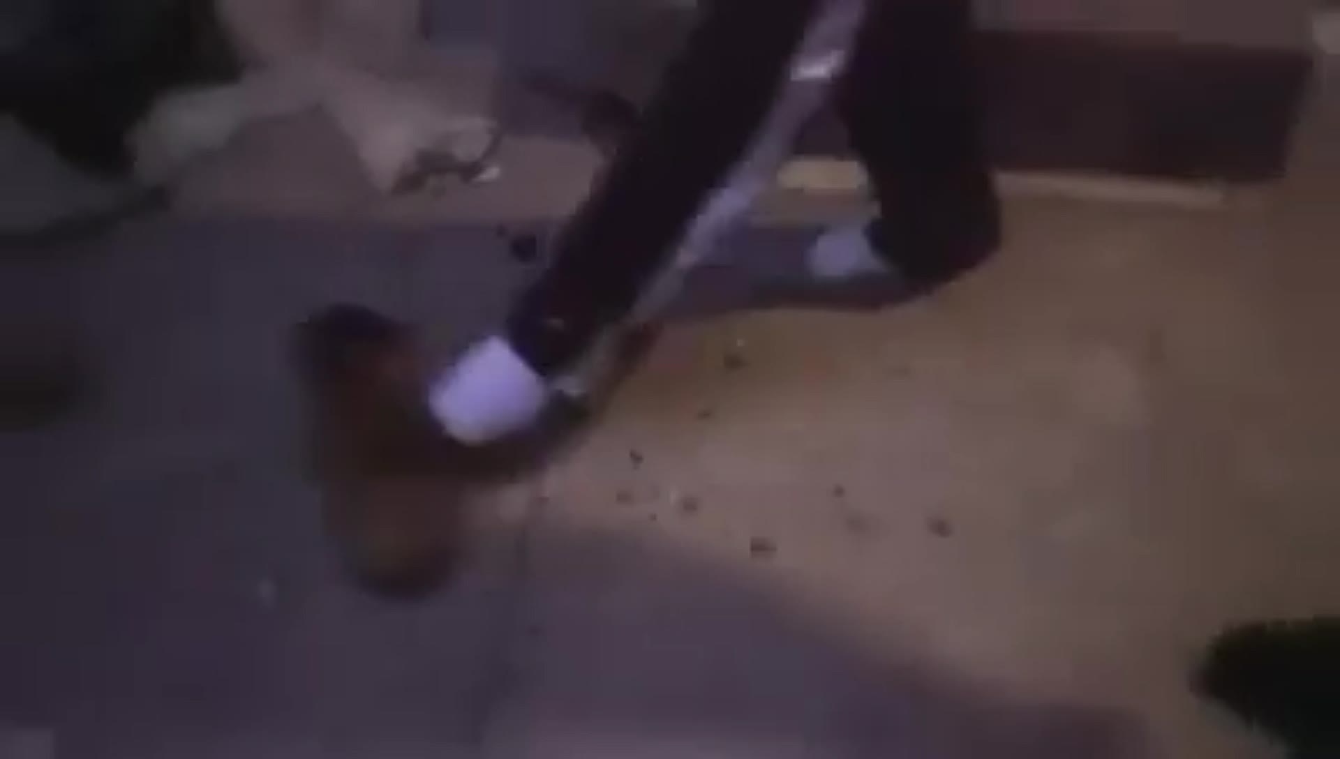 This nibba just took the timbs