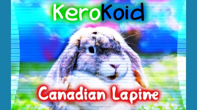 Kerokoid - Canadian Lapine