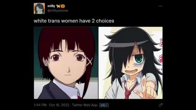 Average Tranime Fan Average Tranime Fan