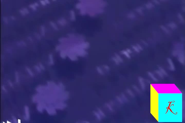 I Accidentally Vidamerica this...