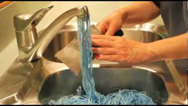 ASMR Stop Motion Animation : The Moose, the Sausage and the Lobster.