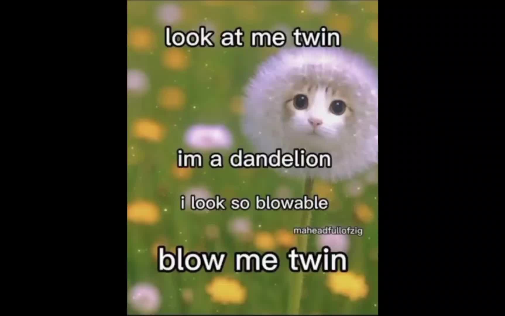 @ItsMeNikoISwear look twin