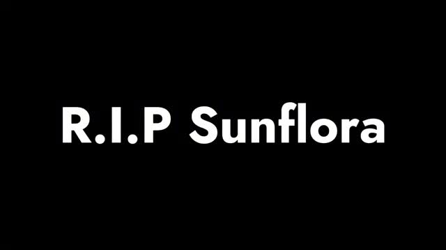 SUNFLORA'S REACTOR CORE EXPLOSION