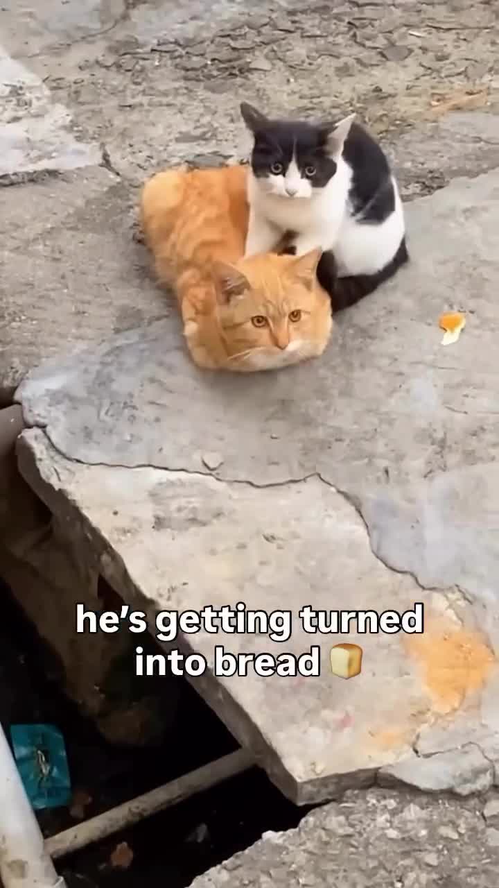 Baking