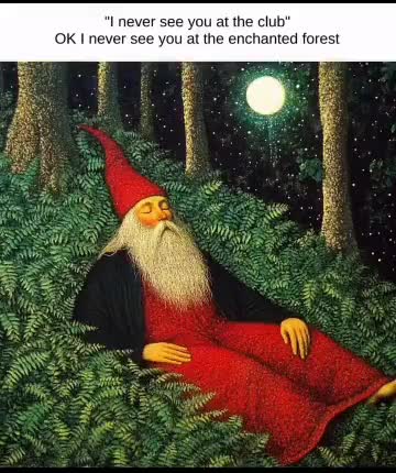 i never see you at the enchanted forest