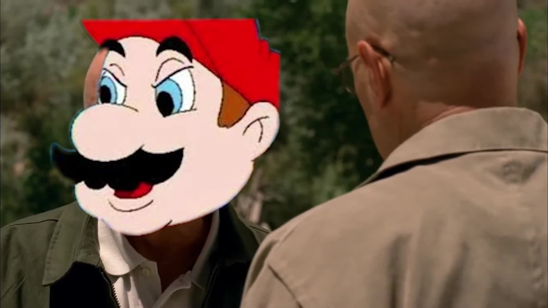 We Had a Good Thing You Stupid Son of a Gay Luigi