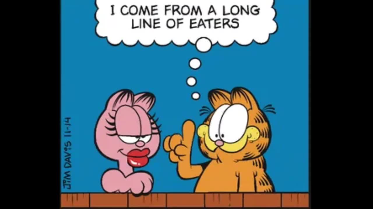 2025_11_14 Garfield comic dub