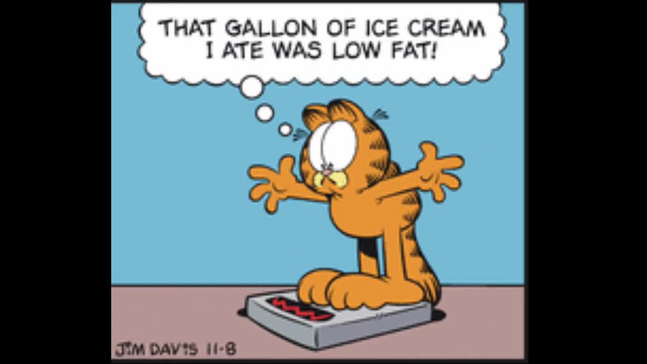 2025_11_08 Garfield Comic Dub