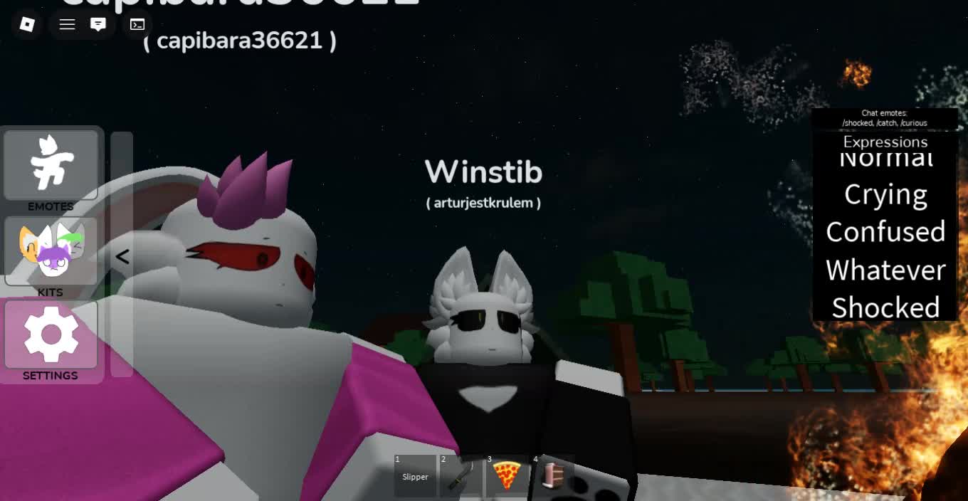 Roblox-2026-01-03T22_22_10.489Z