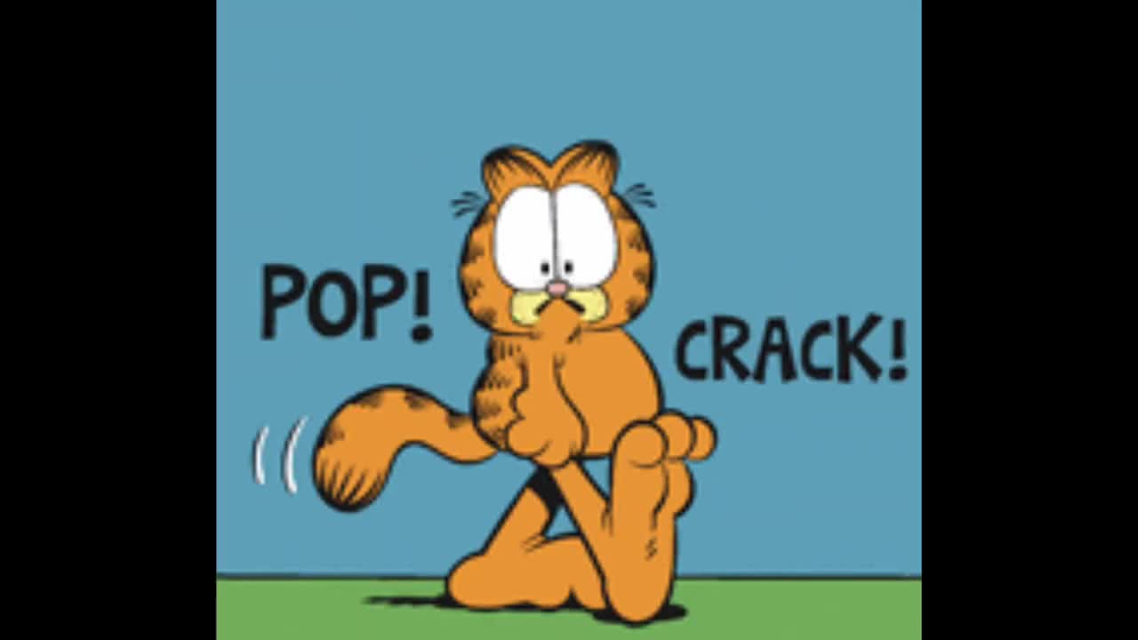 2025_01_17 Garfield Comic Dub
