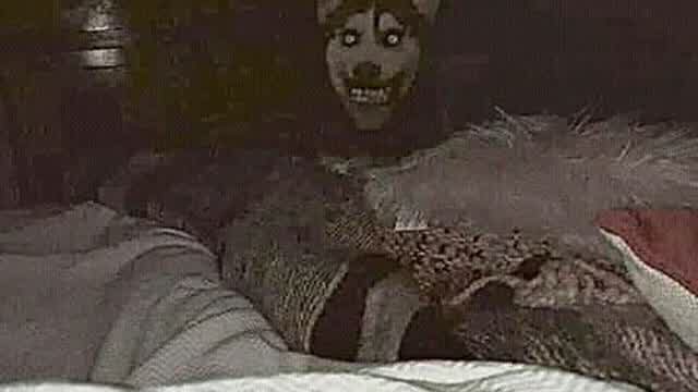 VID-20260607-WA0000 VID-20260607-WA0000