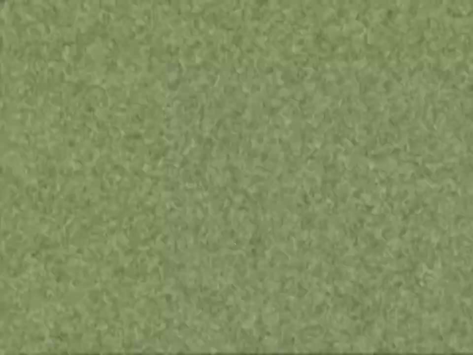 Randomy Csupo Nickel Logo_720p