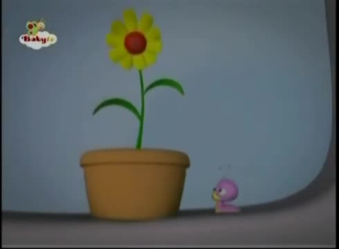 First Baby Songs - Tulli’s Song