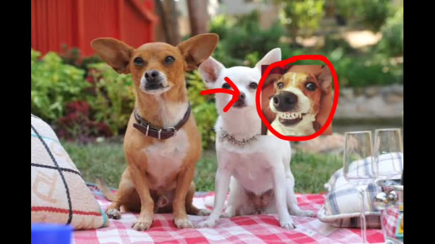 REFERENCES TO VIDLII