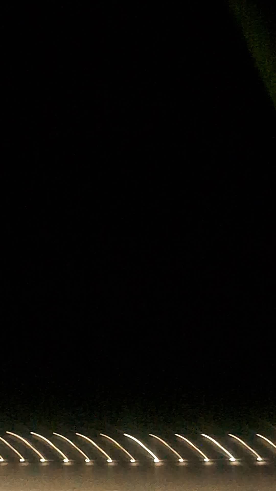 Shakira Zoo Dance Party Part 3!!!!