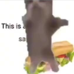 Expiriment - 430 Samwich