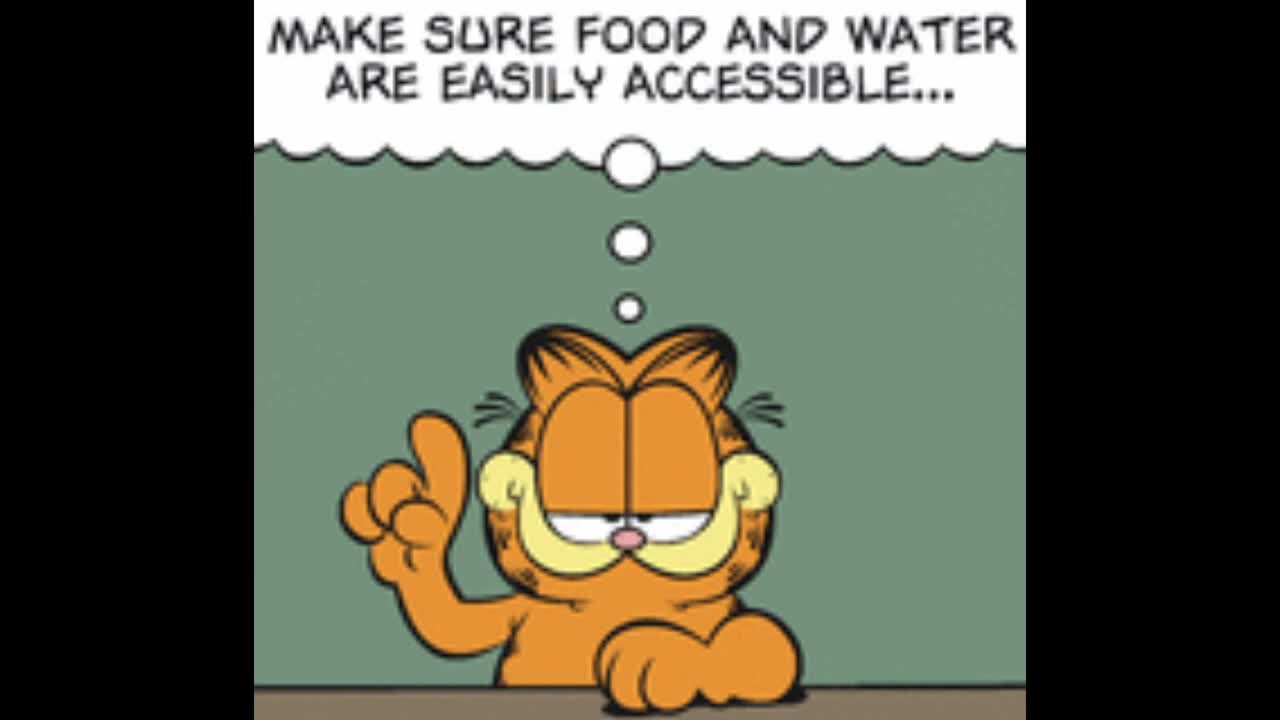 2025_10_18 Garfield Comic Dub
