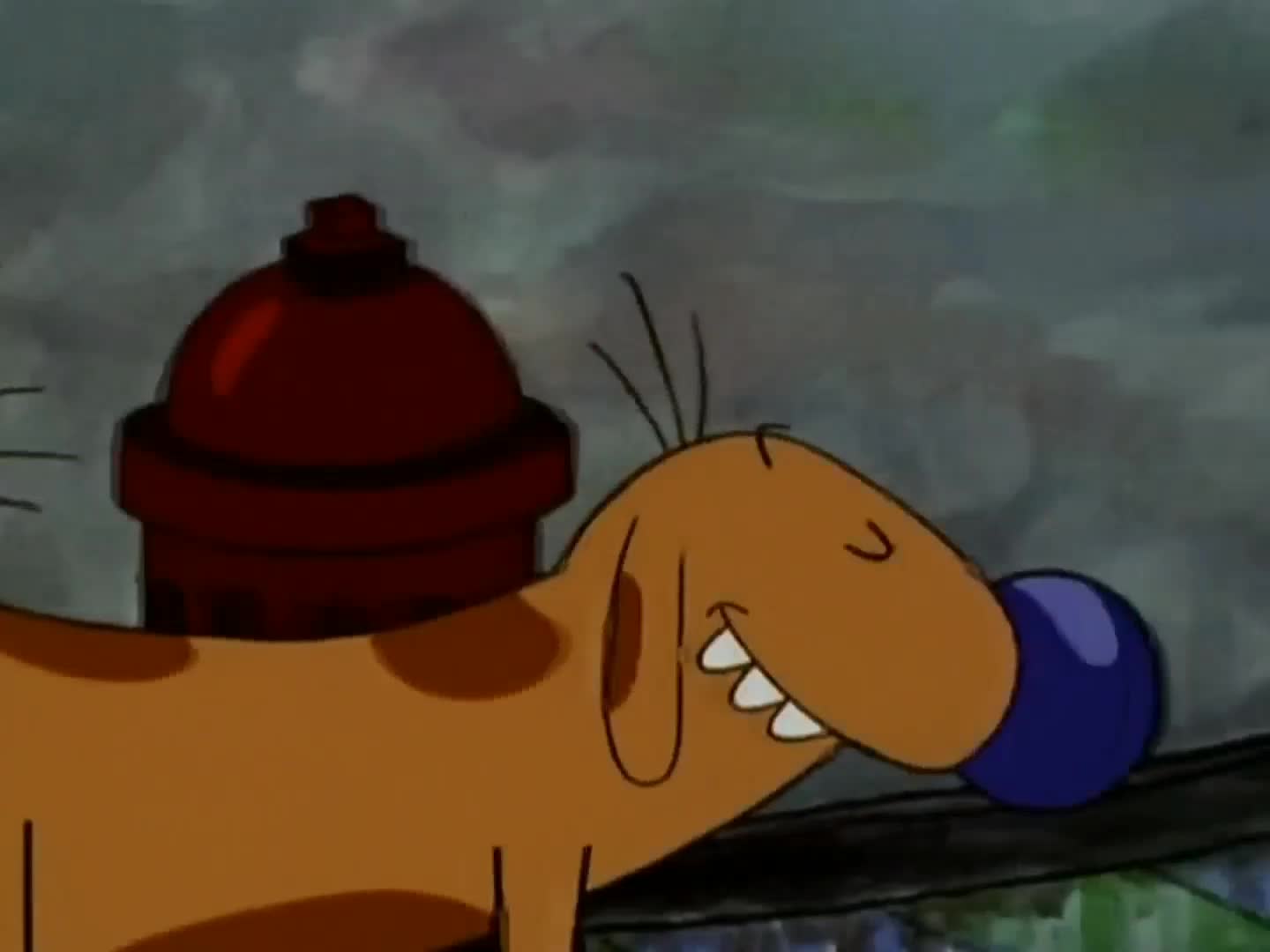 Catdog Perro y Gato Van Al Baño ESPAÑOL ESPAÑA