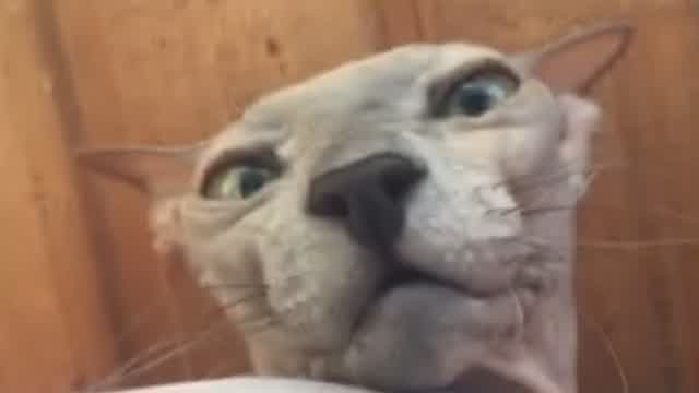 DZIDZIOFILM - MARSIK (без цензури) DZIDZIOFILM - MARSIK (без цензури)