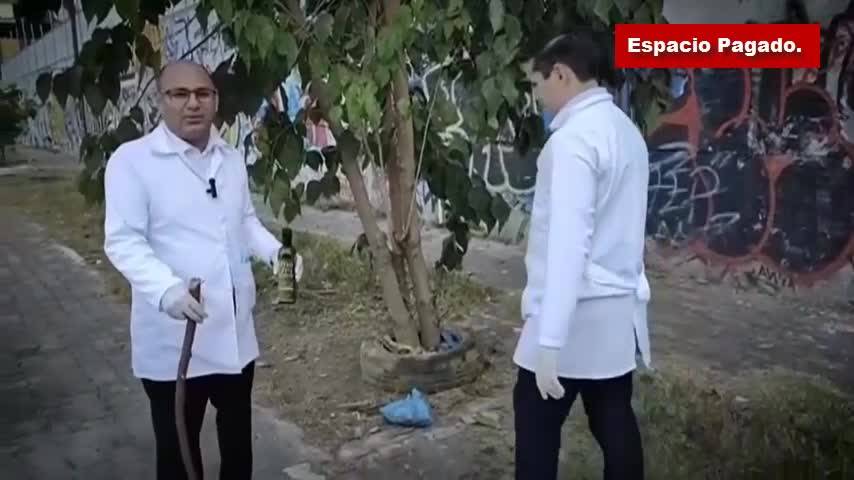 LocomaxTv Bolivia Anime Diciembre 2025